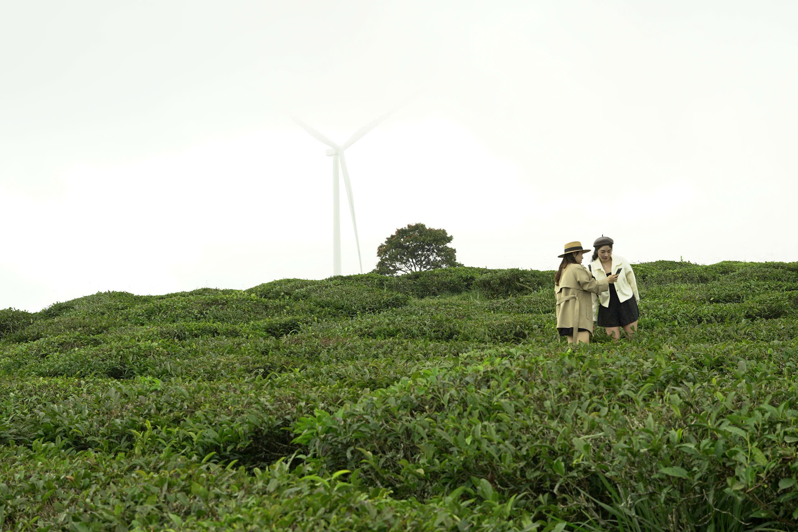 z6807711860579_3ed1d806b5318458d4eb197b6ab7c529